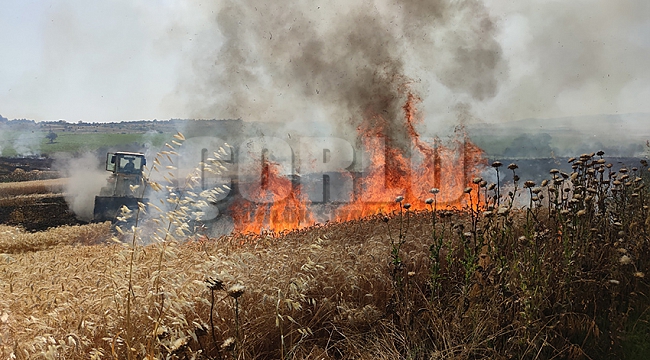 300 dönüm buğday tarlası alev alev yandı